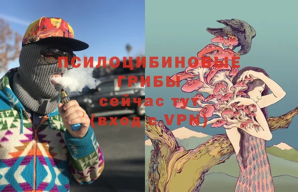 дмт Алексеевка