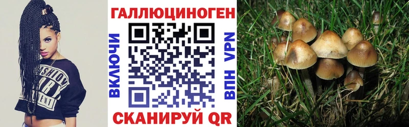 ссылка на мегу ССЫЛКА  Лысково  Галлюциногенные грибы мицелий 